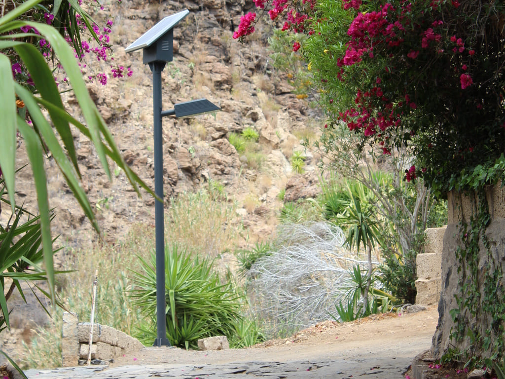 farola fotovolatica en sendero cercano a parterre. Flores y ladera de barranco